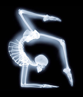 yoga anatomy workshop at stillpoint yoga london