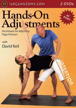 Yoganatomy Hands-On Adjustments DVD cover