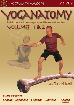Yoganatomy volume 1 & 2 DVD cover