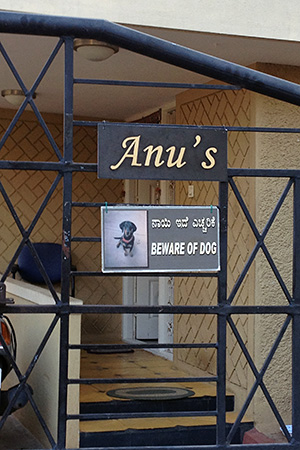 Anu's gate