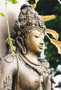 Buddhafield Bodhisatva